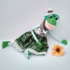 Frog Julie