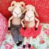 Sheep Priscilla & Ram Aaron